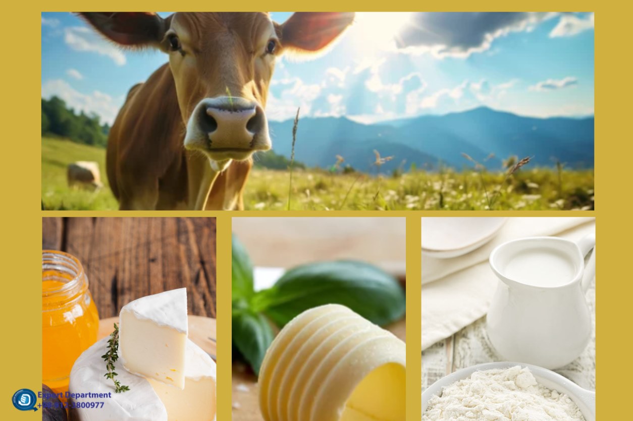 What is the price of dairy products in different countries?